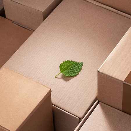 5 Ways to Inform Your Customers About Your Eco-Friendly Packaging