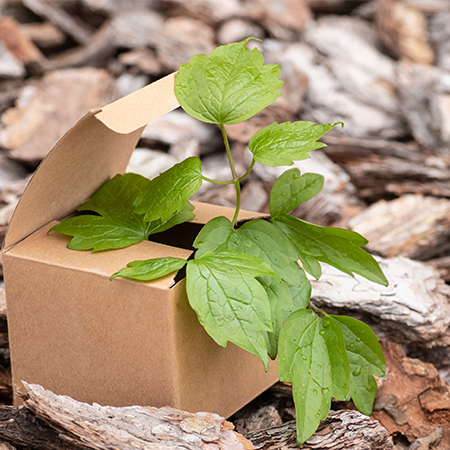 Eco-Friendly Box Packaging Solutions for Your Business