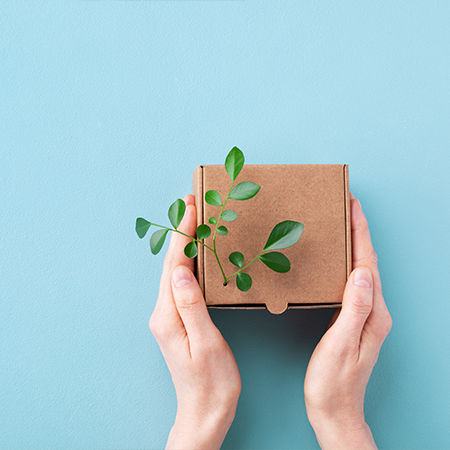 How Using Eco-Friendly Packaging Affects the Image of Businesses in the Eyes of Customers?