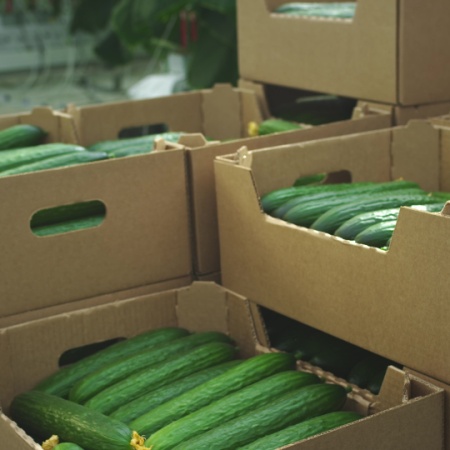 5 Essential Qualities to Consider in Vegetable and Fruit Boxes