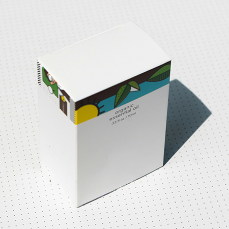 The Architecture of Perception: Does the Visual Hierarchy of Packaging Influence Consumer Decisions?