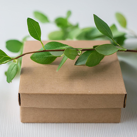 Beyond Sustainability: What Does Circular Packaging Design Bring to Brands?