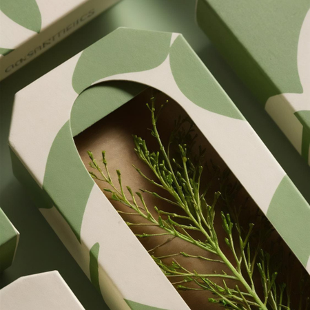 Biophilic Design: The Rise of Natural Forms and Textures in Packaging
