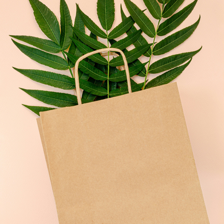 Packaging in the Era of Circular Economy: Strategies for Reuse and Redesign