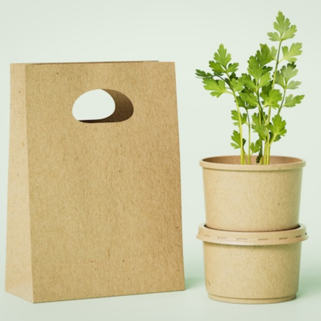 Packaging in the Era of Circular Economy: Strategies for Reuse and Redesign