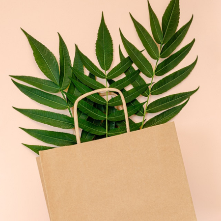 Sürdürülebilir Ambalajın ABC’si: 2026 İçin Kapsamlı Bir Kılavuz