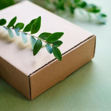 The New Role of Circular Design: Transforming Packaging From Waste Into a Brand Asset