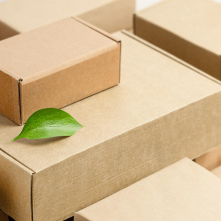 The New Role of Circular Design: Transforming Packaging From Waste Into a Brand Asset