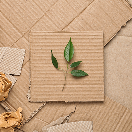 Sustainable Way of Increasing Sales: Packaging