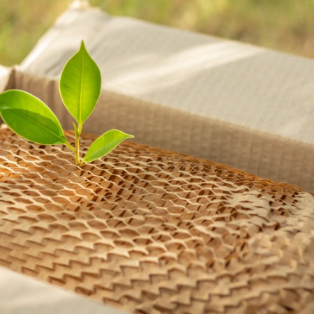 Çevreci Ambalajlarda Malzeme Seçimi: Doğru Kriterler