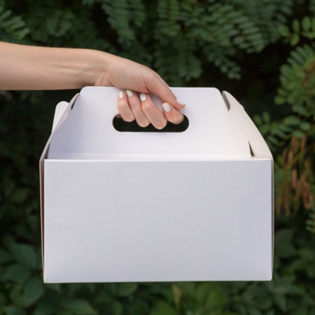 What Is a Bag Box, and Which Industries Use It More Commonly?
