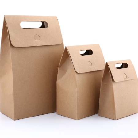 What Is a Bag Box, and Which Industries Use It More Commonly?