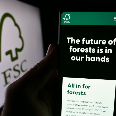 FSC Sertifikası Nedir ve Paketleme Sektörü İçin Neden Önemlidir?