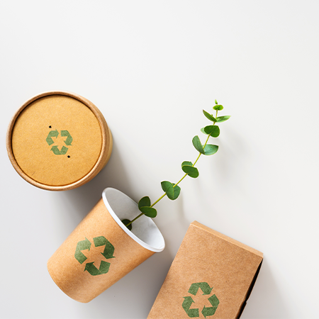 The Impact of Choosing Eco-Friendly Packaging on Nature