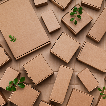 The Impact of Choosing Eco-Friendly Packaging on Nature